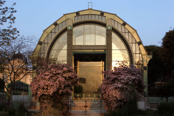 Tropical Rainforest Glasshouse